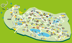 zoo1